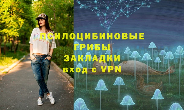 PSILOCYBIN Касимов