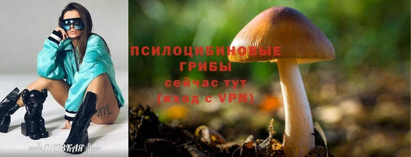 стаф Карпинск