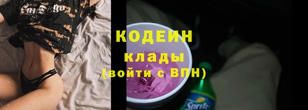 стаф Карпинск