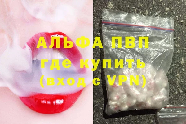 стаф Карпинск