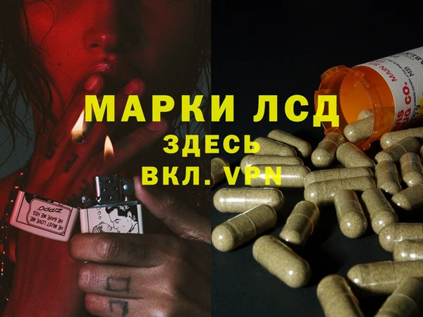 гидра Карталы