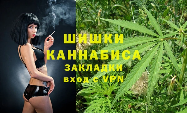 стаф Карпинск