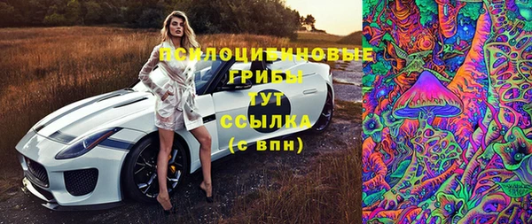 стаф Карпинск