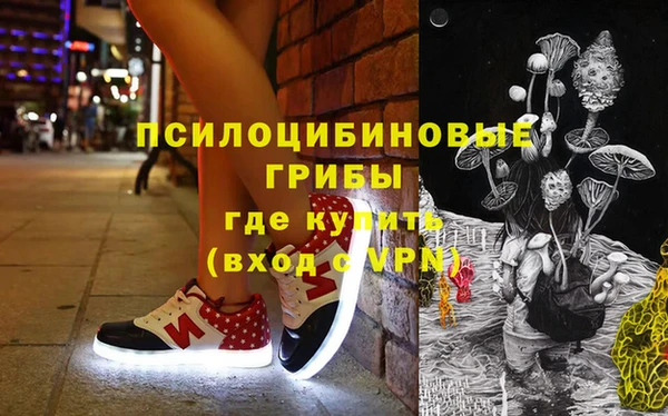 гидра Карталы