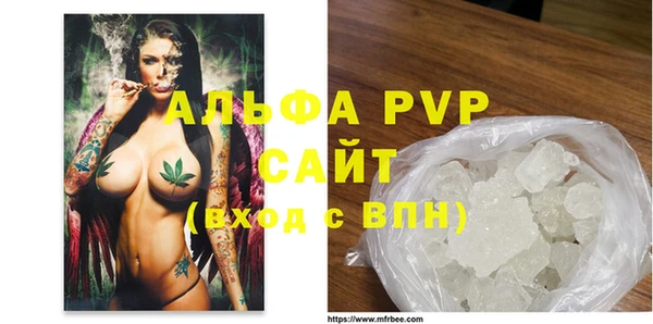 стаф Карпинск