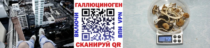 Галлюциногенные грибы Psilocybe  Купить  Гдов 