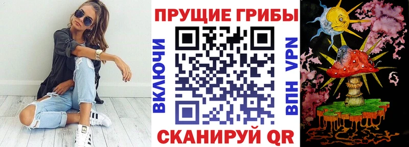 Псилоцибиновые грибы Psilocybe Гдов